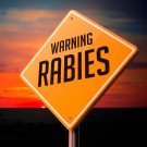 Rabies (Instramuscular) Vaccine
